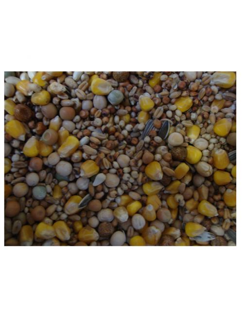 Beyers Basic 4 Seizoenen - Duivenvoer - 25 kg