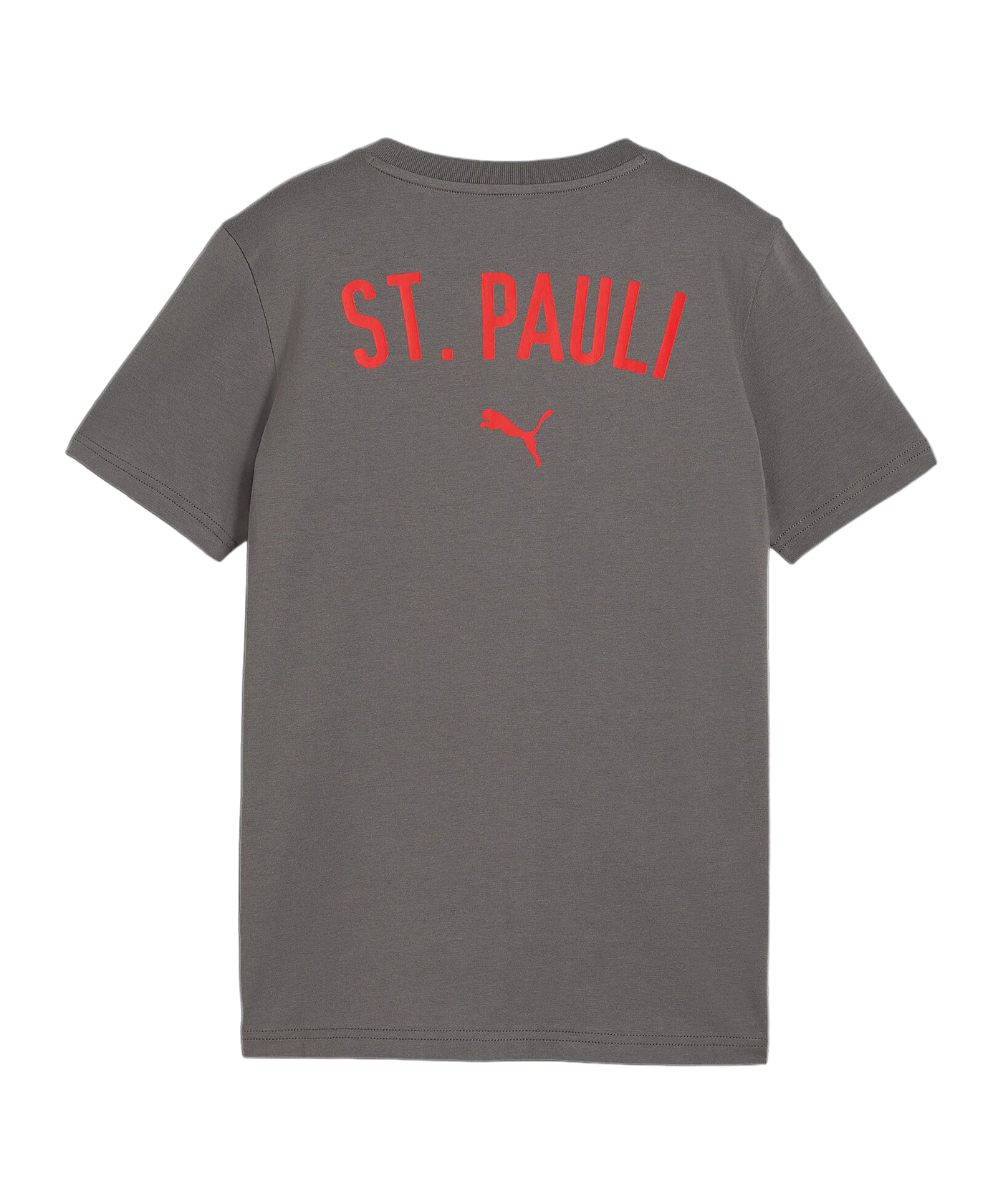 PUMA FC St. Pauli Casual T-Shirt Kids Grau F06