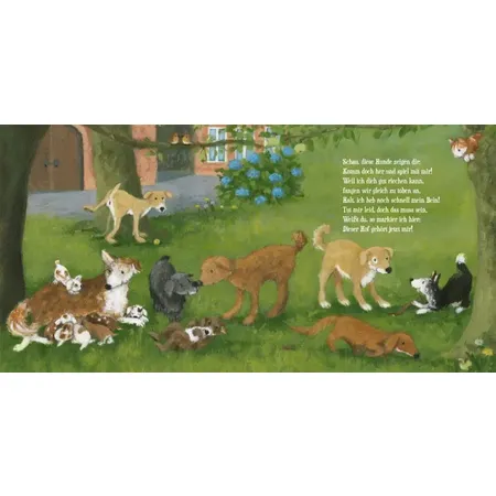 Carlsen Verlag Schau, wie gut die Tiere sich verstehen