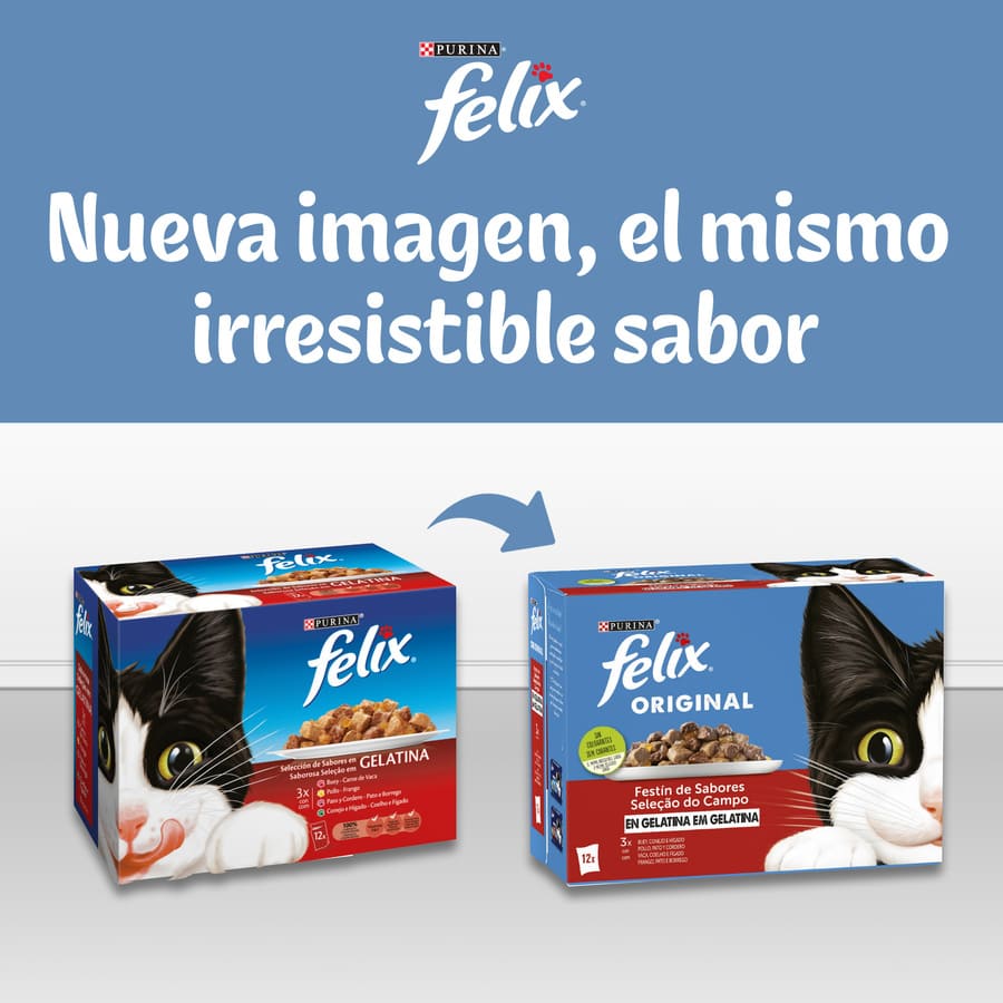 Sachês de gelatina Felix Sensations Seleção de Carnes - Pacote com várias unidades