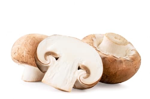 Champignons Creme, Schale