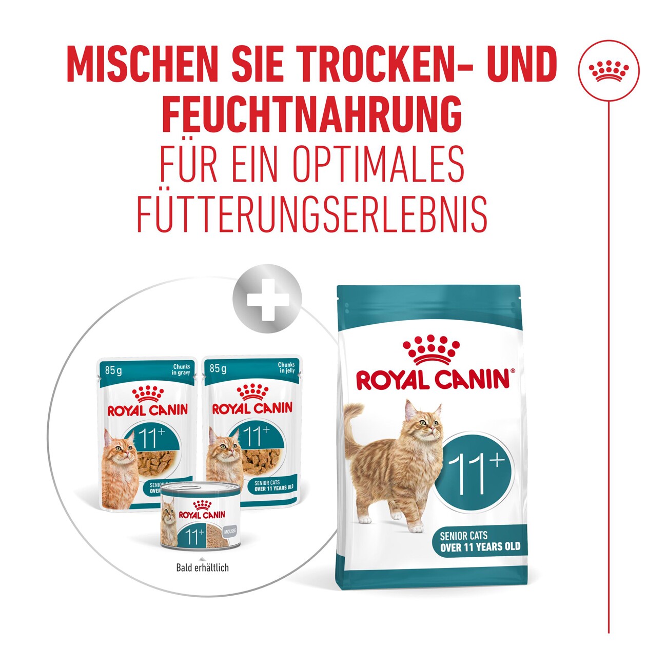 ROYAL CANIN Nassfutter Katze, Senior Ageing 11+, Gelee 12x85 g