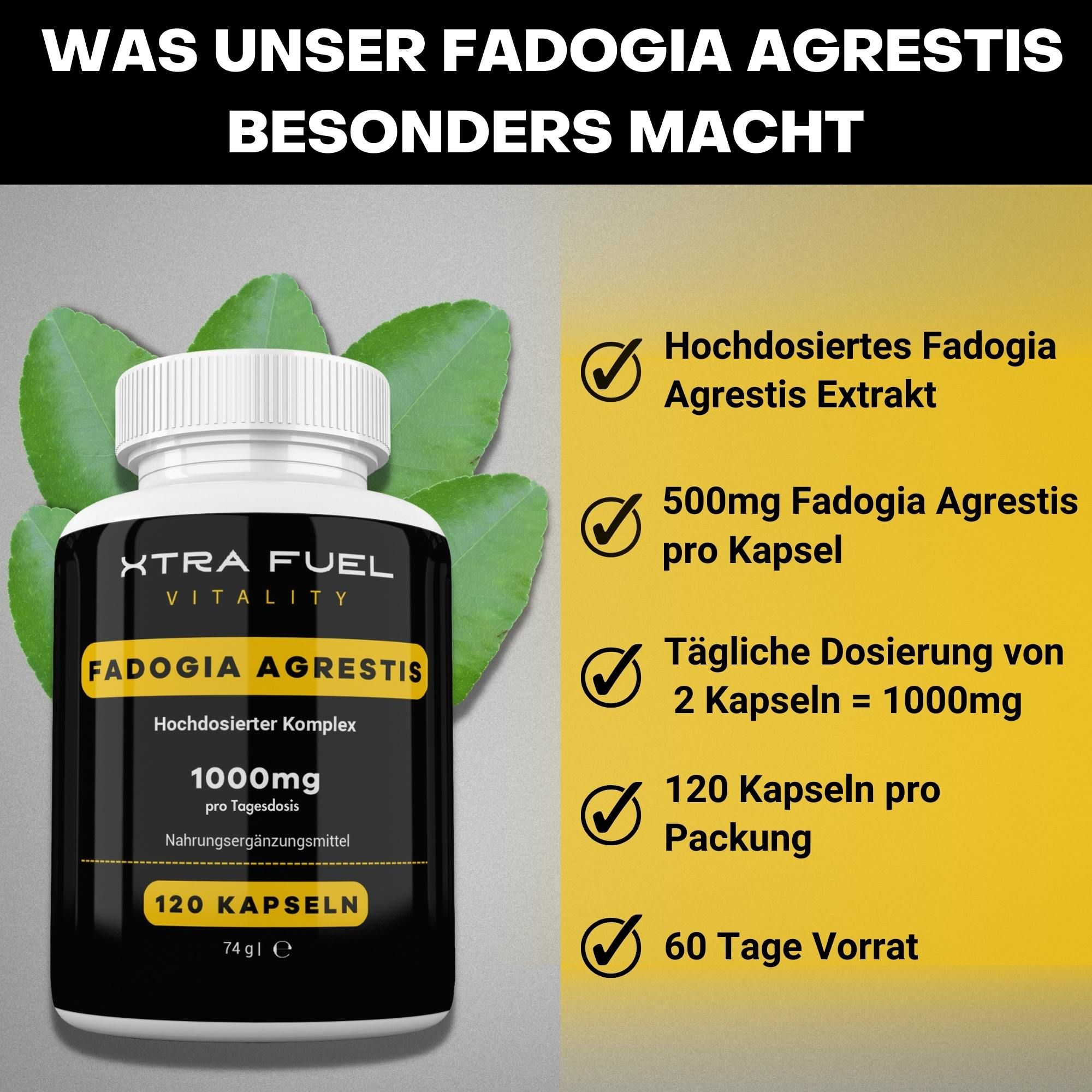 XTRA FUEL Fadogia Agrestis Kapseln