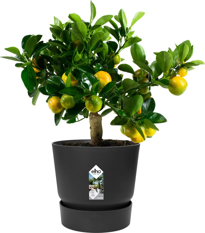 Elho bloempot Greenville zwart D 29,5 H 27,8 cm