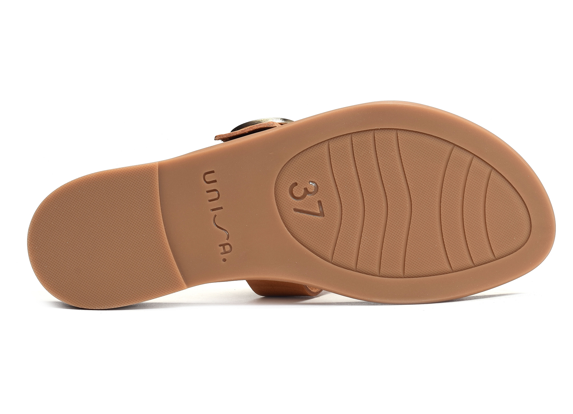 Civeta camel