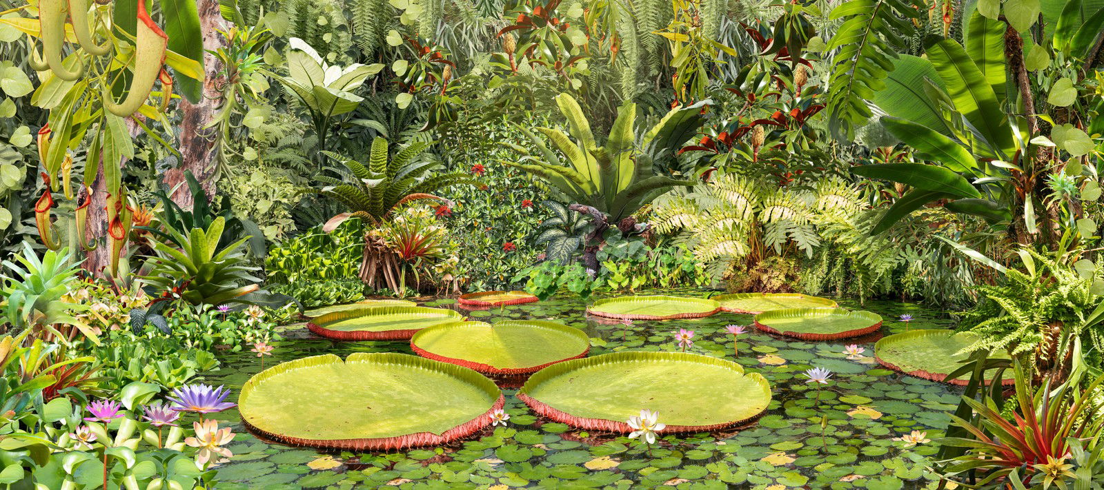 Botanical II by Katalin Vasali - Limited Edition. Edition of: 150. Signed.