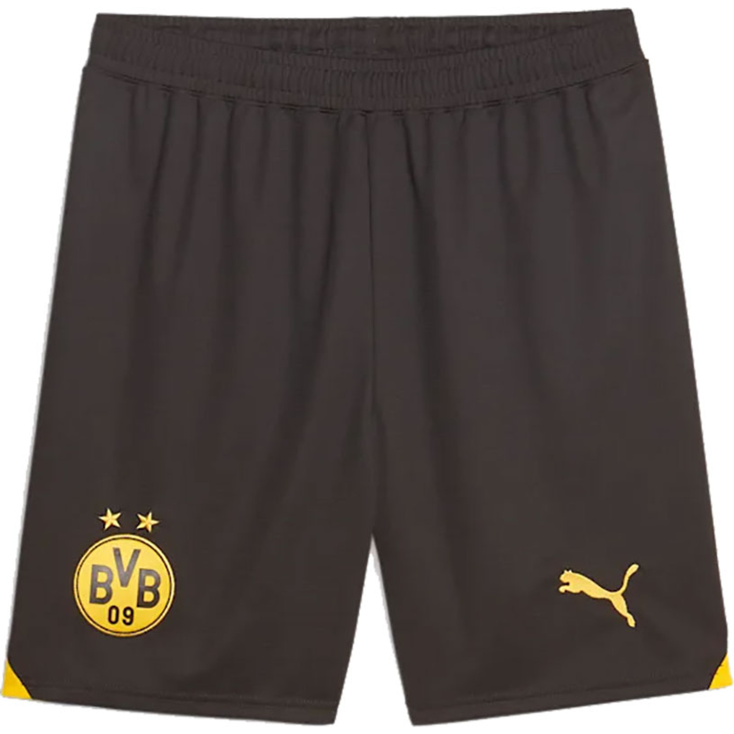 Puma Borussia Dortmund Thuis Tenue Kids