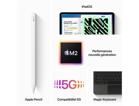 APPLE - iPad Pro 11 WiFi + Cellular 2 To Argent (4e gen.)