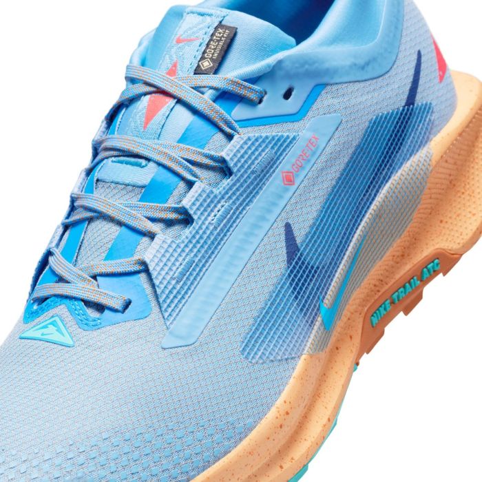Nike Herre Trailsko Pegasus Trail 5 Gore-Tex Blå