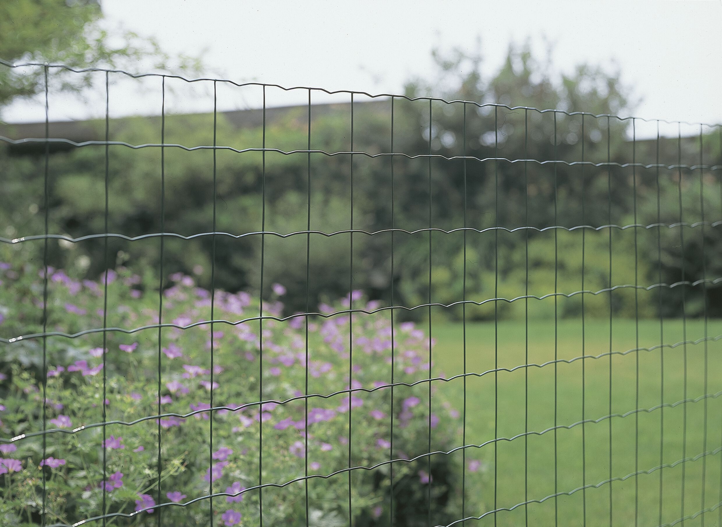 Betafence - Pantanet Light - Gelast tuingaas - Groen - 80 cm - 82x31x31 cm - 100 cm