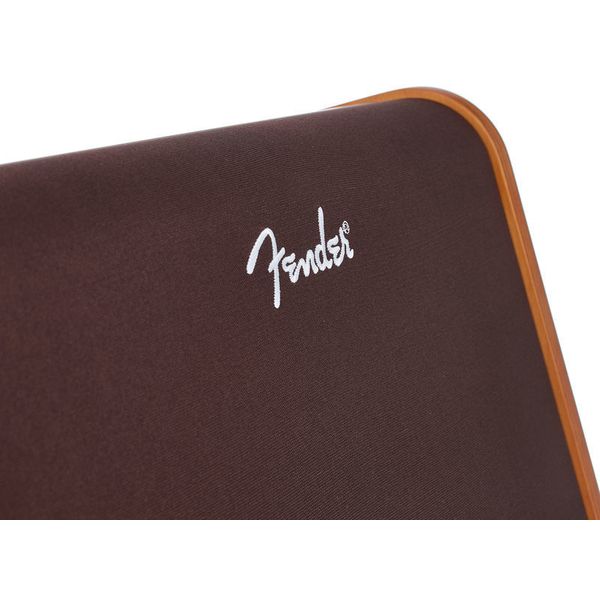 Fender ACOUSTIC 100