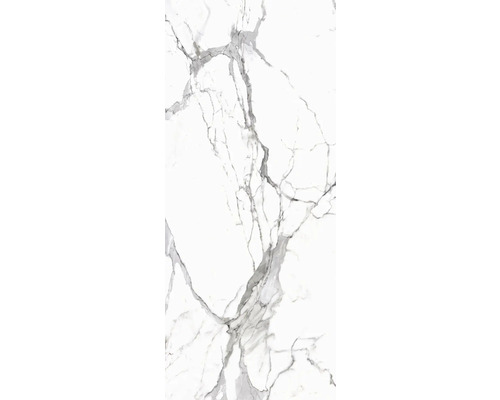 Porseleinen steengoed wand- en vloertegel Calacatta 279,7 x 119,7 x 0,6 cm wit mat gerectificeerd