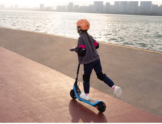 SEGWAY - Trottinette électrique Ninebot C2 Lite
