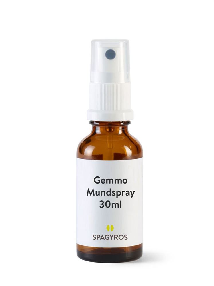 Spagyros Vaccinium myrtillus 1 D<br>30 ml, Spray, Glycerinmazerat
