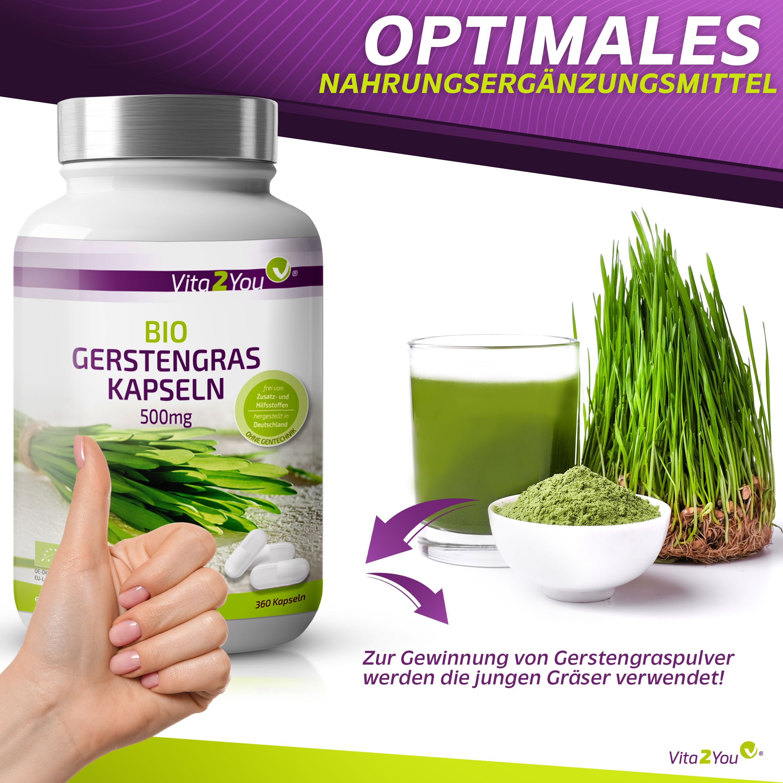 Vita2You Bio Gerstengras Kapseln 500mg