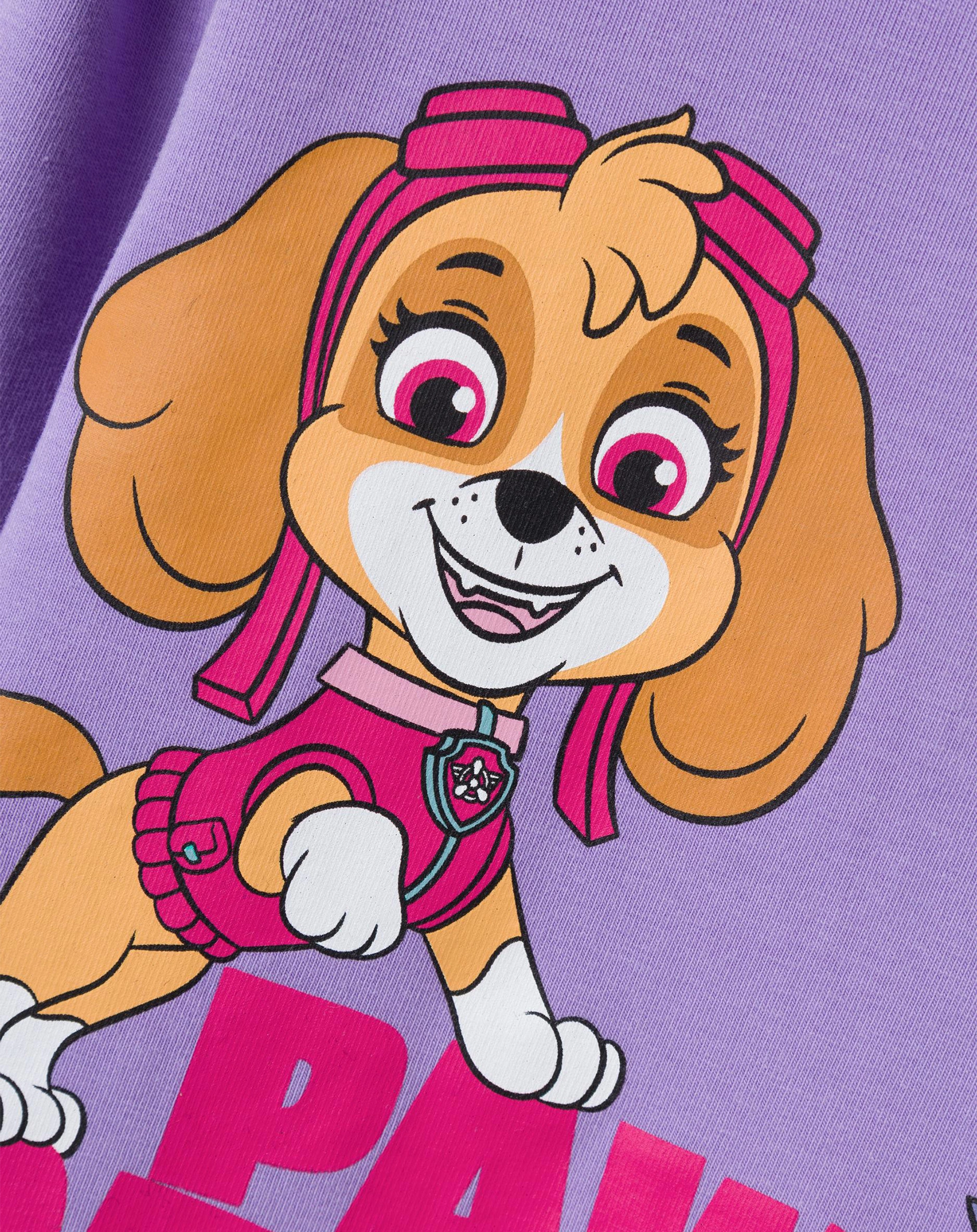 Langarmshirt NMFJUMINA PAWPATROL in sand verbena