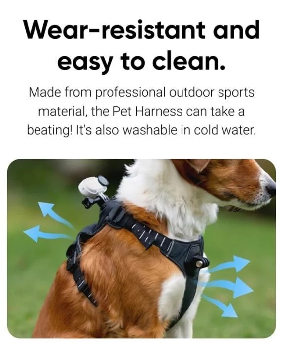 Insta360 - GO 3/GO 3S Pet Harness Mount Size S