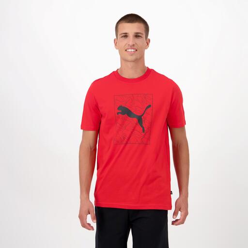 Gráfico Puma