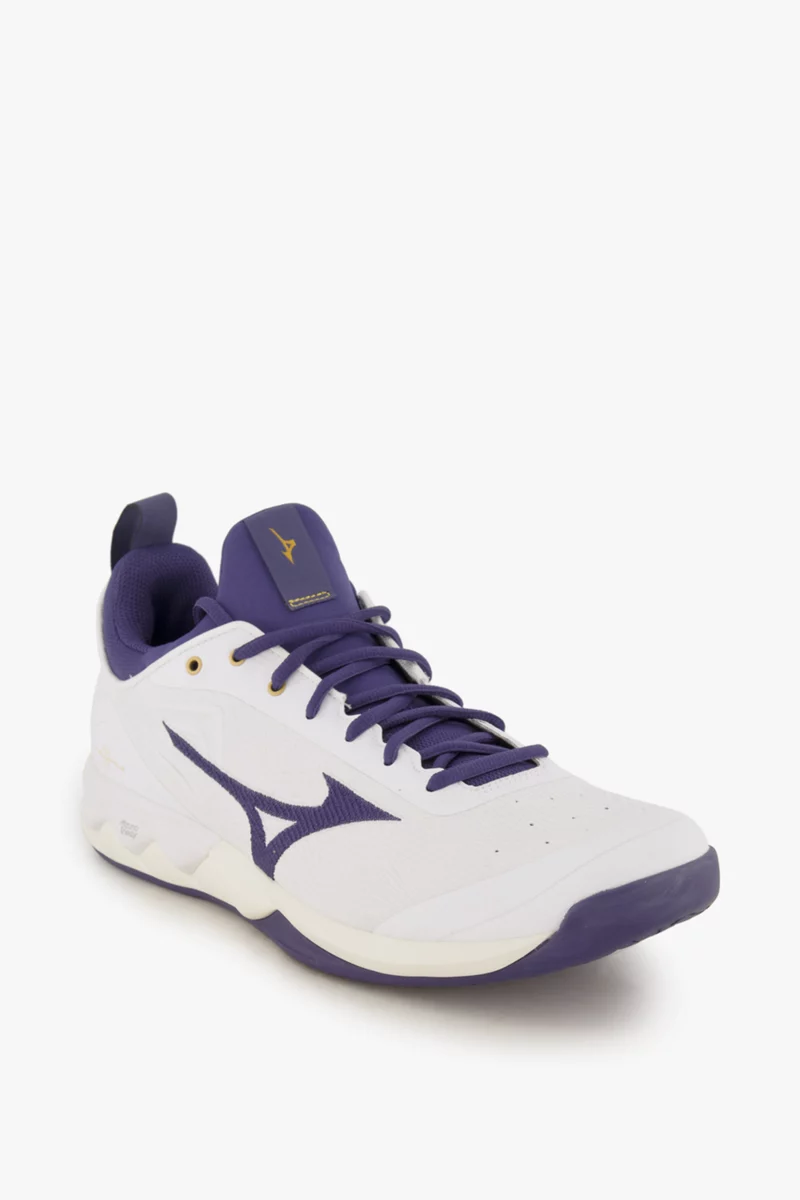 Mizuno Wave Luminous 2 Herren Hallenschuh