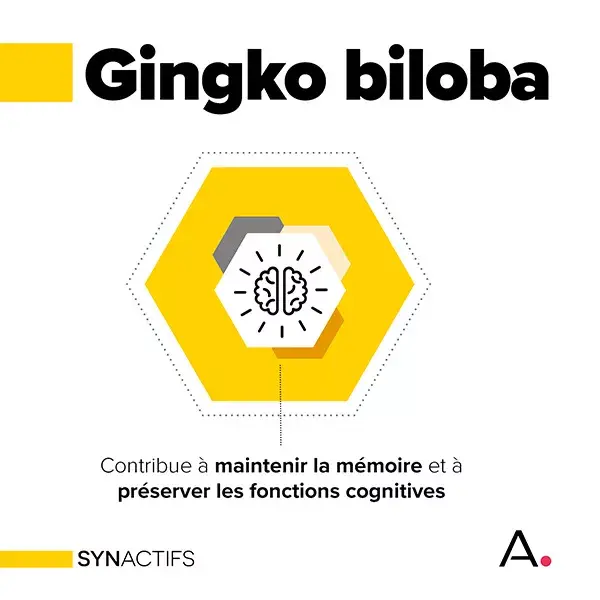 Aragan - Synactifs - MemoProtect® - Memória - Ginkgo Biloba - 60 cápsulas