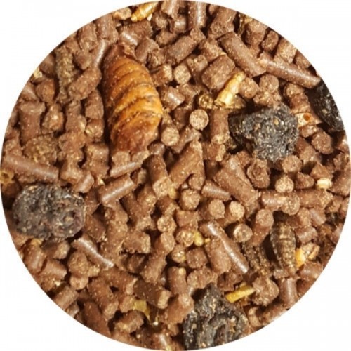 Alimento para petauros-do-açúcar à base de insetos, larvas e frutos silvestres, sabor neutro.