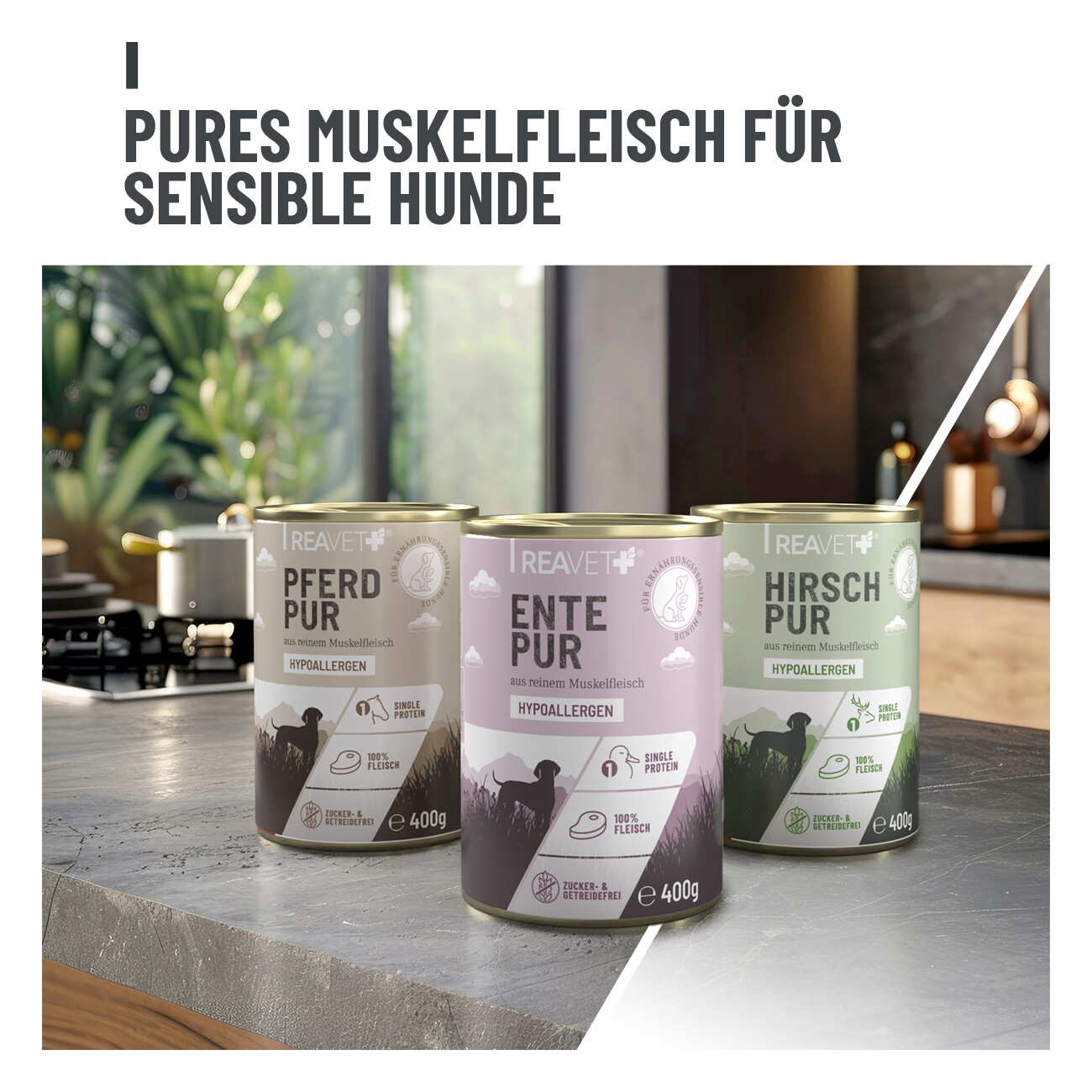 REAVET Hunde Nassfutter - Pferd PUR 6x400 g