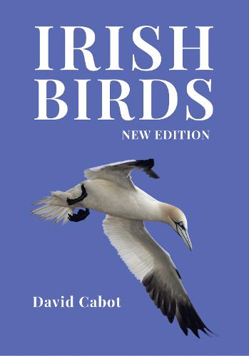 Irish Birds (Hardback)