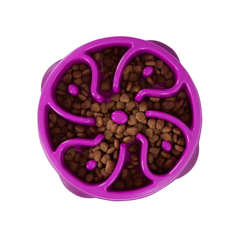 Mini mangeoire lente pour chiens slo bowl violet