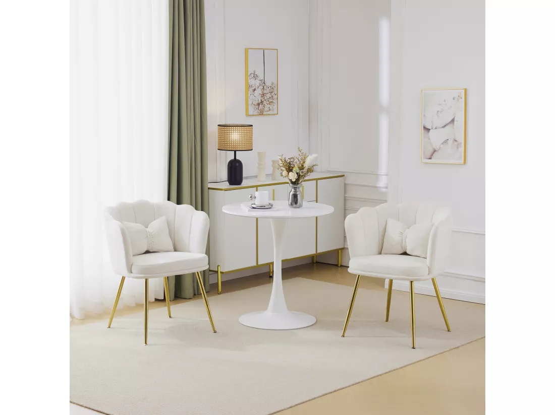 Haobosic - Set de 2 Chaises Modernes en Velours avec Dossier en Forme de Pétale, Pieds en Métal Doré, Coussins Confortables pour Salon