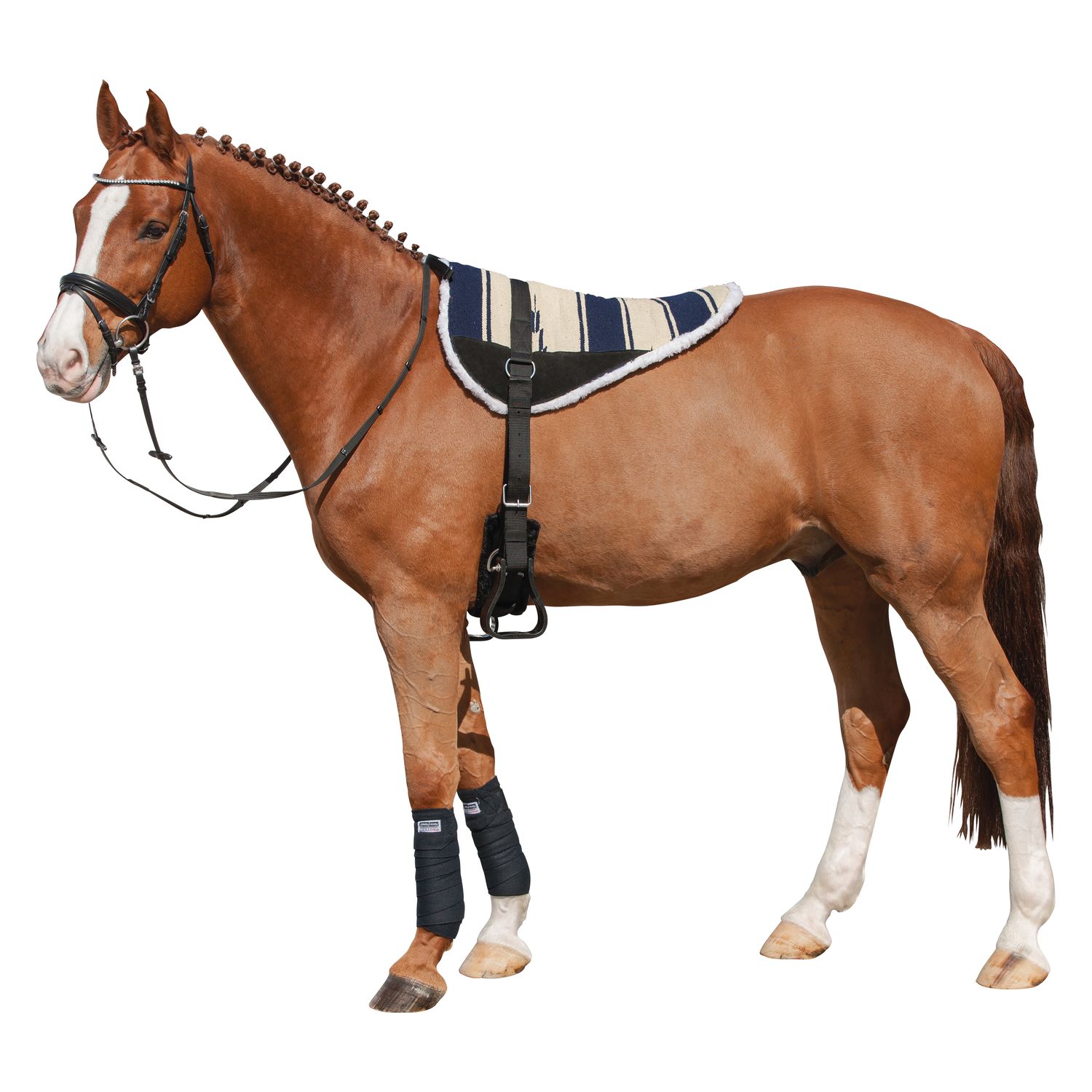 L-pro West Bareback-Pad Wichita  - blau/beige