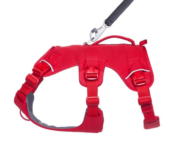 RUFFWEAR® Hundegeschirr Web Master™