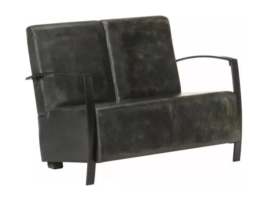 Fauteuil à 2 places Gris Cuir véritable