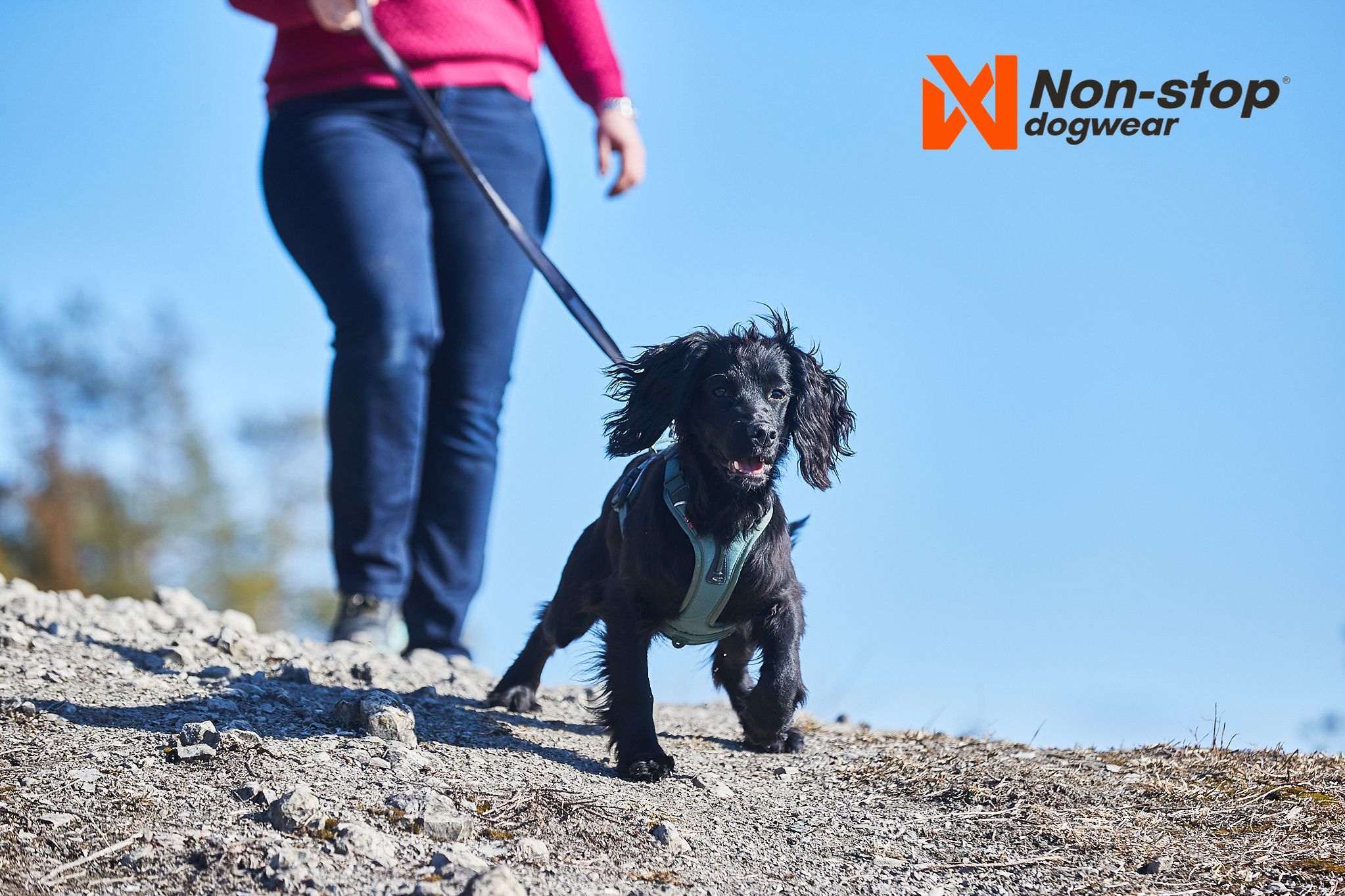 Kjøp Non-Stop Dogwear Ramble Harness fra Hekta på tur!