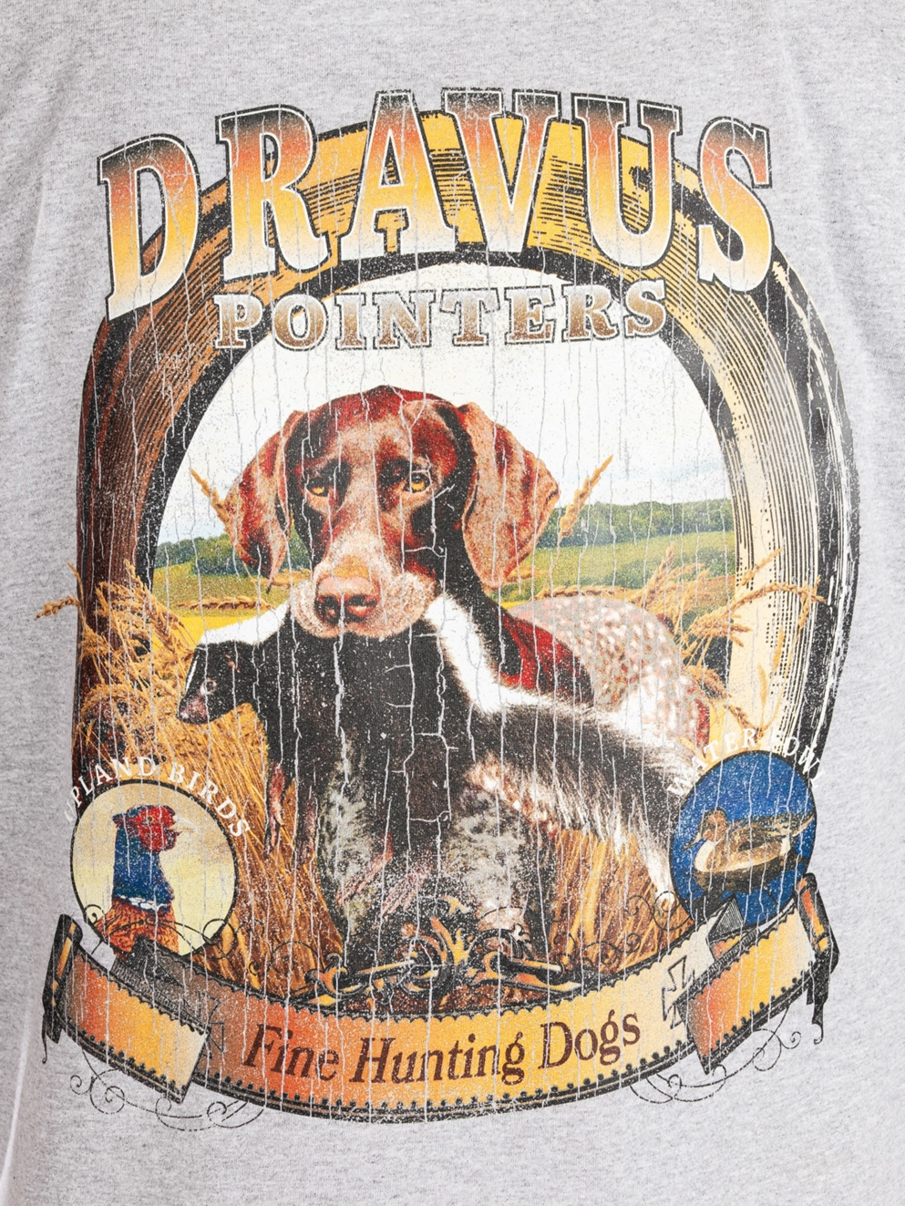 Dravus Dog Gon It T-Shirt vintage grey