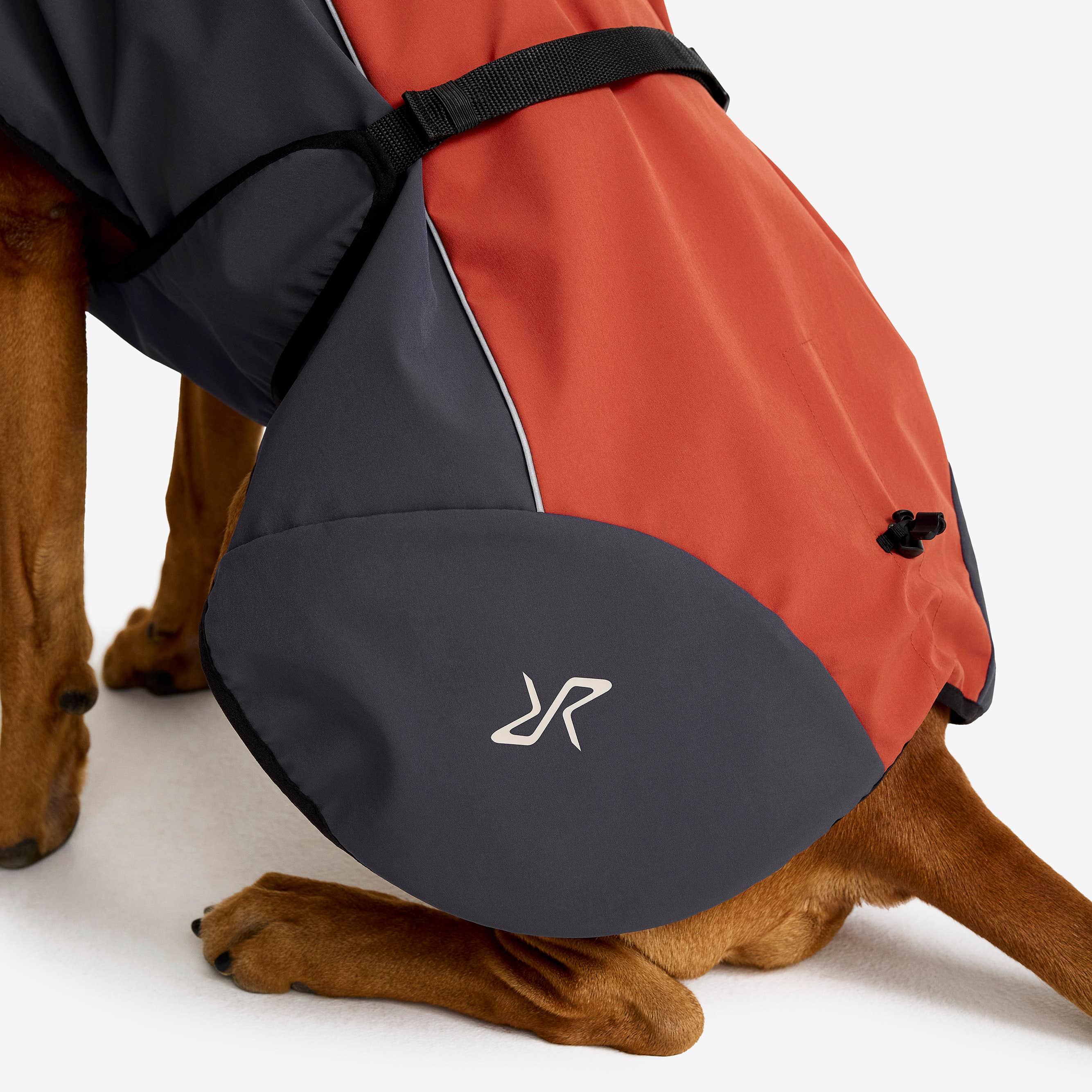 Cyclone Dog Jacket Hund Bossa Nova/India Ink