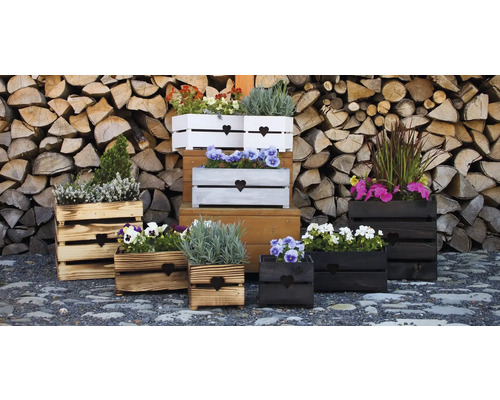 Houten plantenbak 50 x 19 x 15 cm