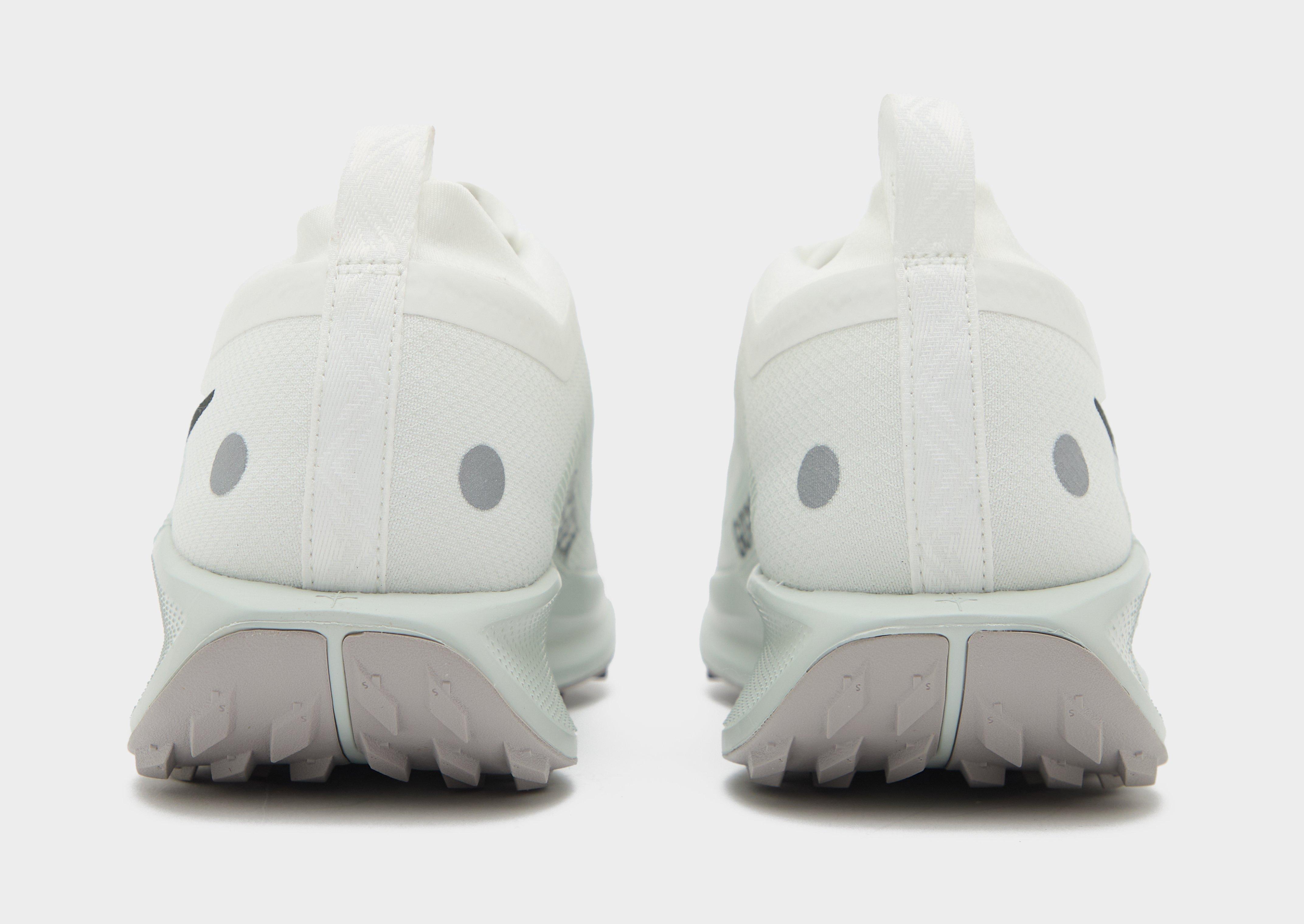 Nike Pegasus Trail 5 GORE-TEX Homme
