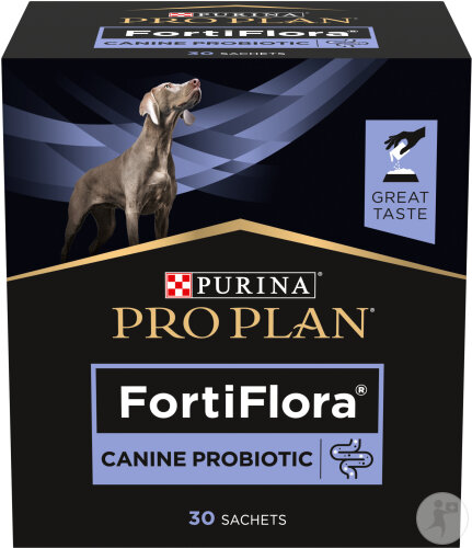Pro Plan Fortiflora Pour La Santé Et L'Équilibre Intestinal Probiotique Pour Chien 30x1g