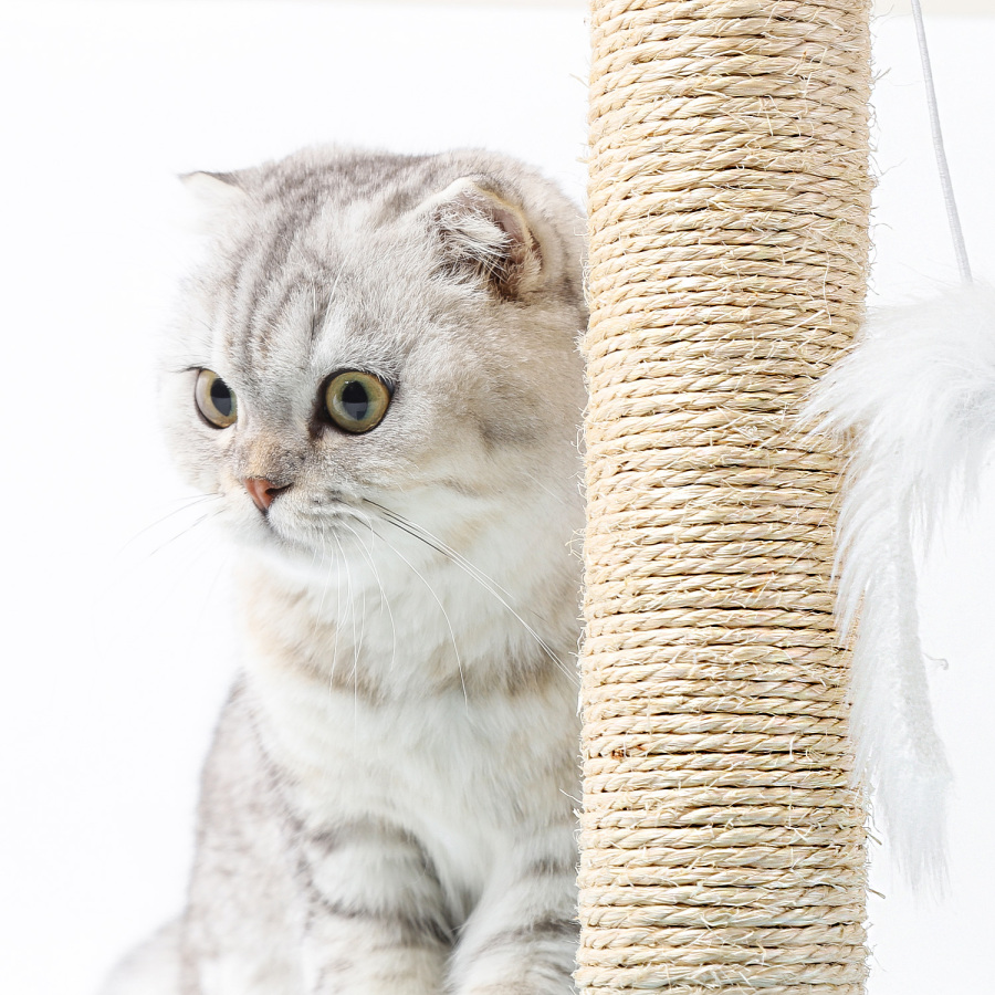 Nobleza – Arranhador de sisal para gatos com brinquedo