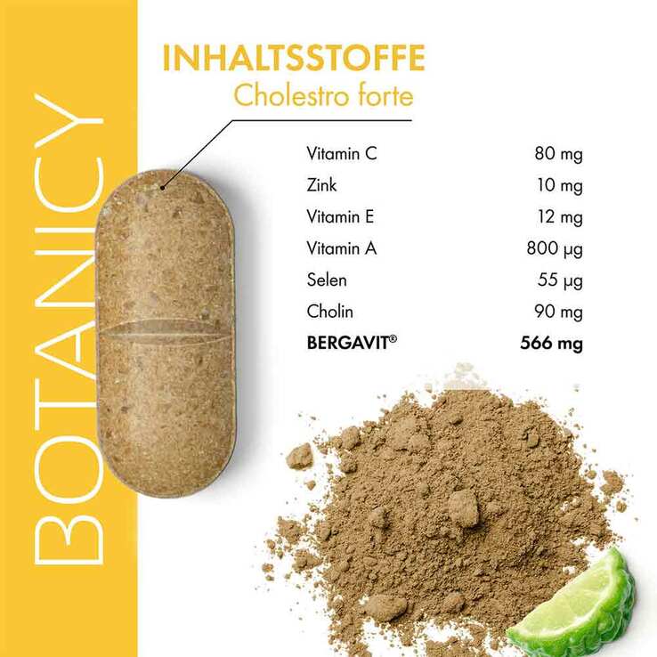 Botanicy Cholestro forte mit Bergavit Tabletten, 60 St