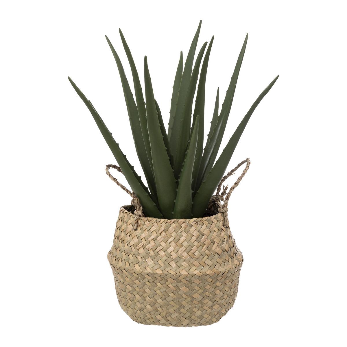 ALOE POT NATUREL H.40CM