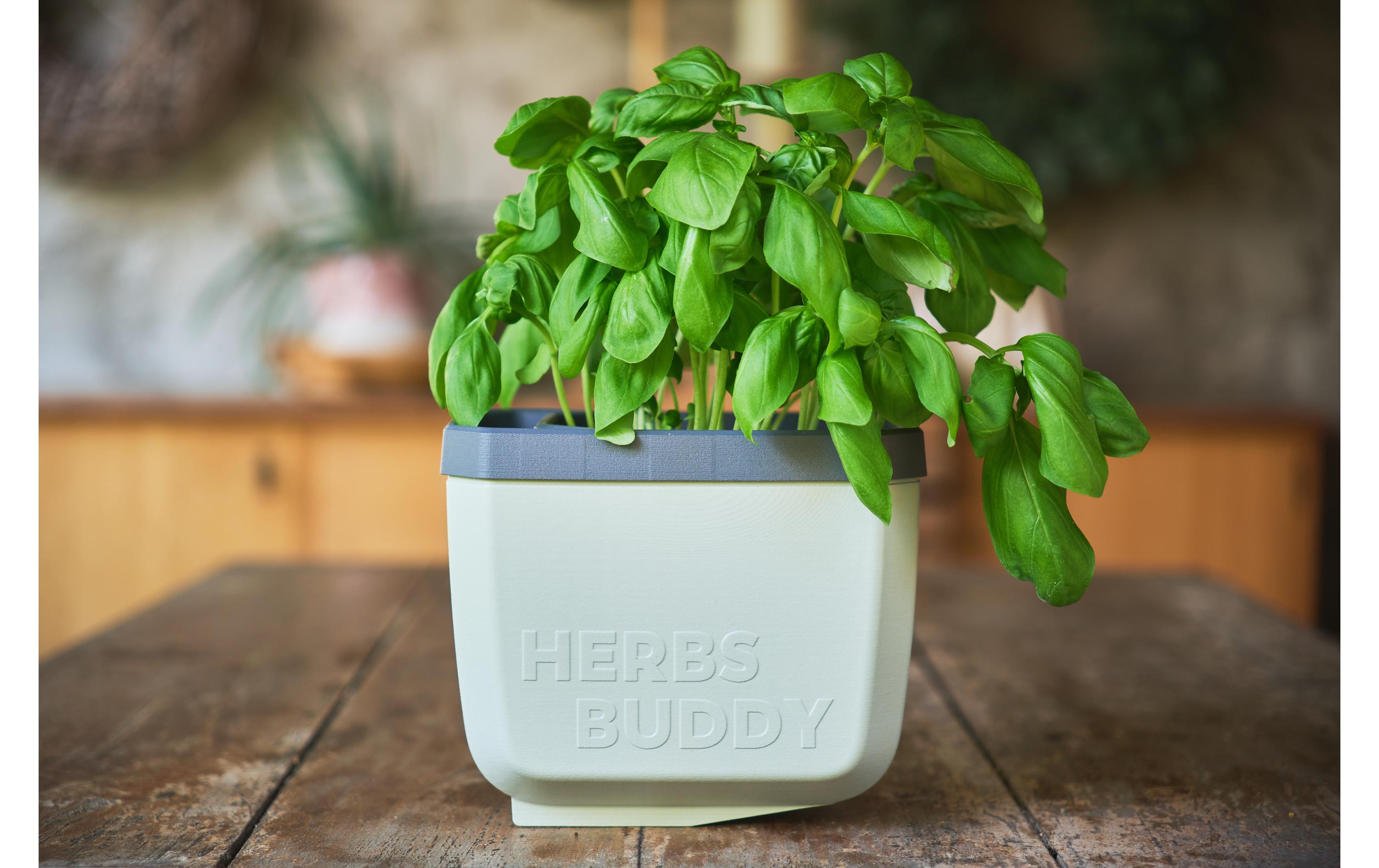 HERBS BUDDY Kräutertopf Grau/HellgrauKräutertopf mit Wasserreservoir und Kippfunktion