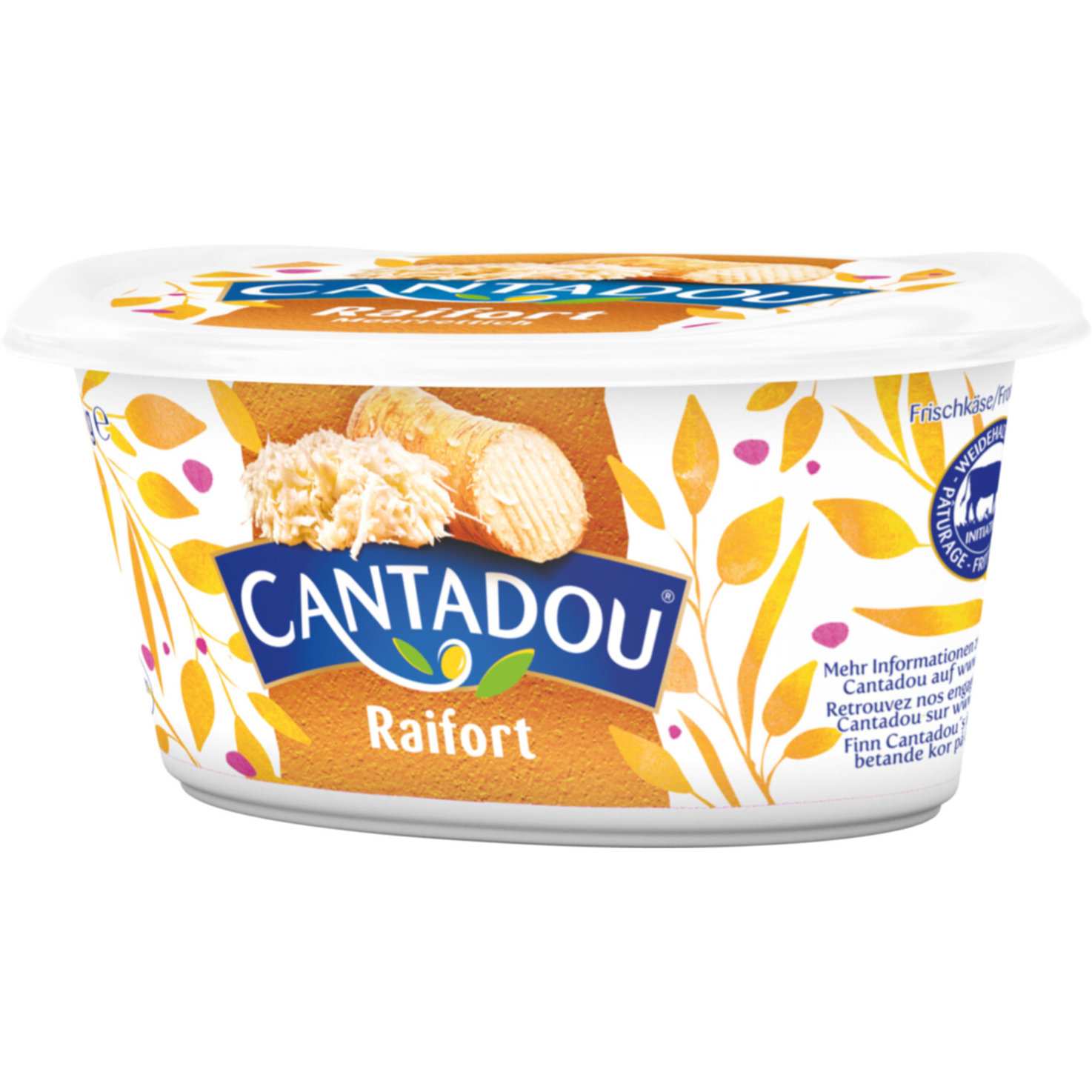 Cantadou Meerrettich -
