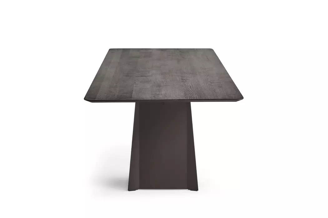 Esstisch Helmond 220 x 100cm