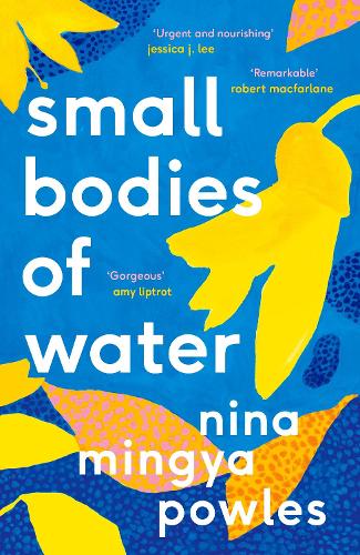 Small Bodies of Water (Paperback)