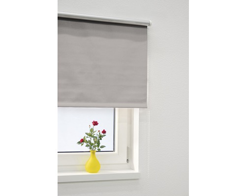 Verduisterend rolgordijn Thermo uni grijs 80x175 cm