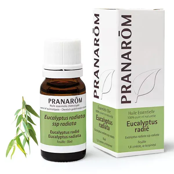 Óleo Essencial de Eucalipto Radiata Pranarom 10ml