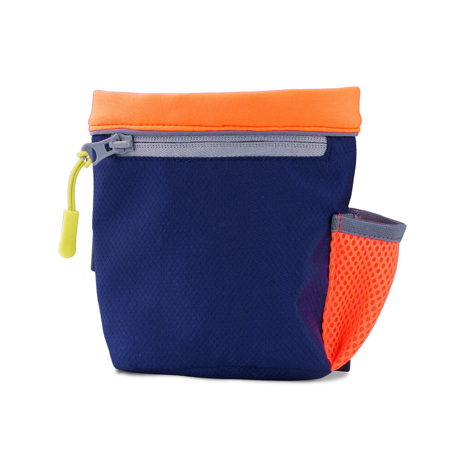 Coachi Train & Treat Bag