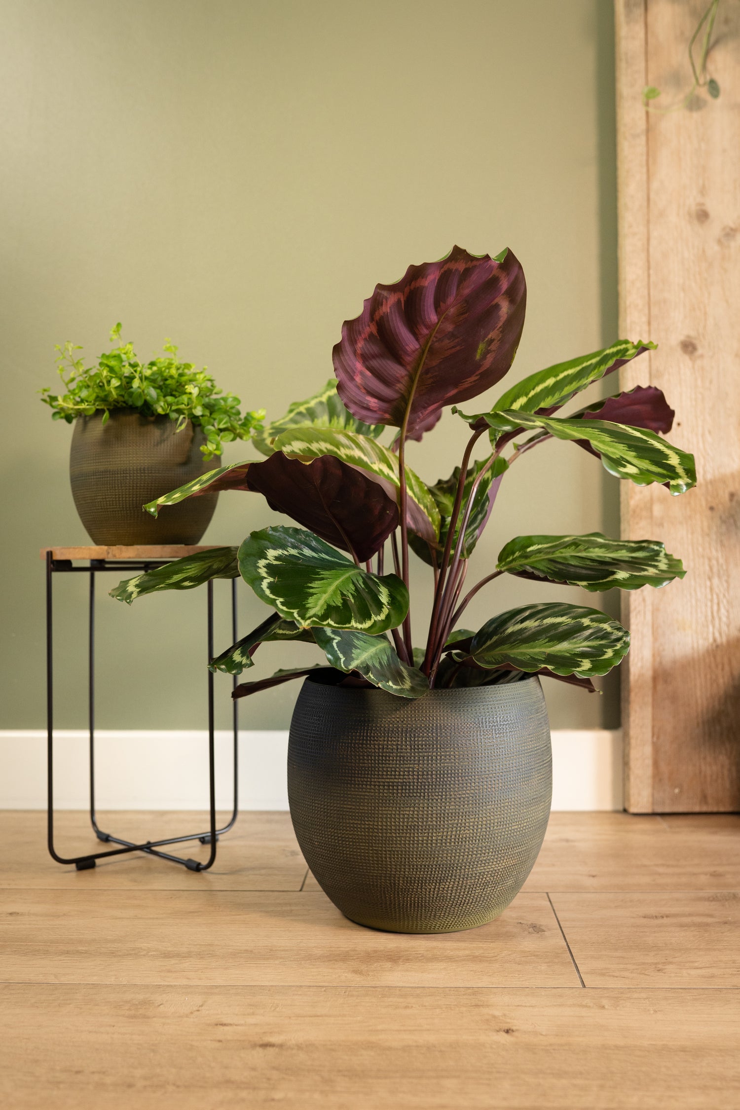 TS bloempot Dex groen D 28 H 25 cm