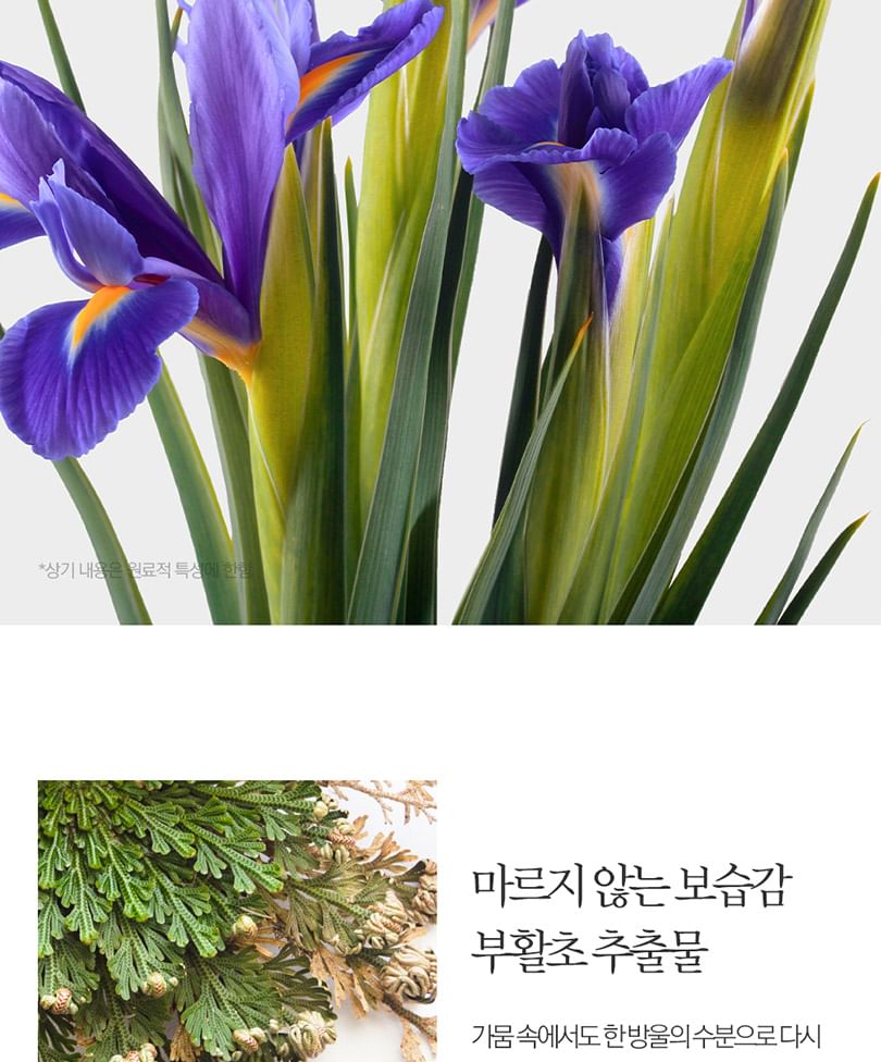 Pyunkang Yul - Handwas Dancheong